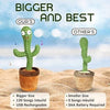 Mimicry Cactus Toy