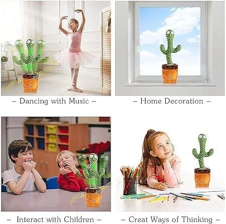 Mimicry Cactus Toy