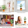 Mimicry Cactus Toy