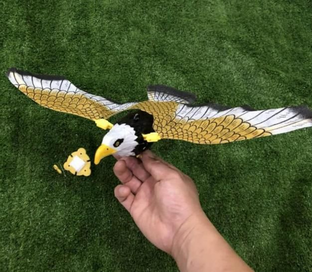 Realistic Flying Eagle Toy
